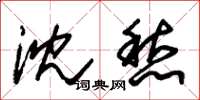 朱锡荣沈愁草书怎么写