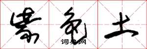 朱锡荣紫色土草书怎么写