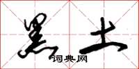 朱锡荣黑土草书怎么写