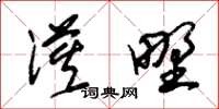朱锡荣漠野草书怎么写