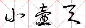 曾庆福小壶天草书怎么写