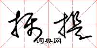 朱锡荣摄提草书怎么写