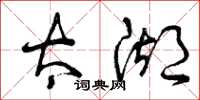 曾庆福太湖草书怎么写