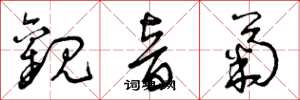 曾庆福观音菊草书怎么写