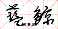 朱锡荣蓝鲸草书怎么写
