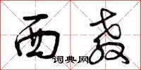 曾庆福西教草书怎么写