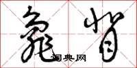 曾庆福龟背草书怎么写