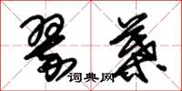 朱锡荣翠叶草书怎么写