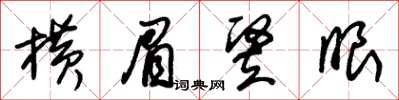 朱锡荣横眉竪眼草书怎么写