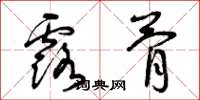 曾庆福露骨草书怎么写