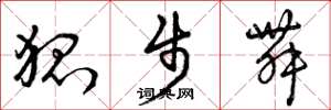 曾庆福狐步舞草书怎么写