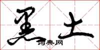 曾庆福黑土草书怎么写