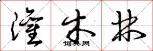 曾庆福灌木林草书怎么写