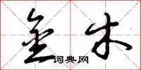 曾庆福金木草书怎么写