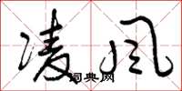 曾庆福凌风草书怎么写