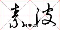 曾庆福素波草书怎么写