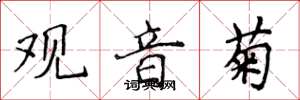 侯登峰观音菊楷书怎么写