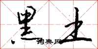钱沛云黑土行书怎么写