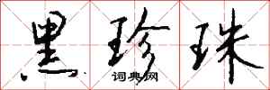 钱沛云黑珍珠行书怎么写