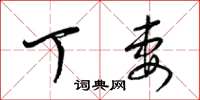 梁锦英丁妻草书怎么写