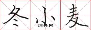 骆恒光冬小麦楷书怎么写