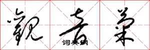 梁锦英观音菊草书怎么写