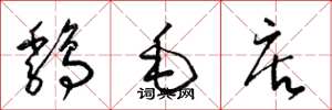 梁锦英鸡毛店草书怎么写