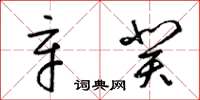 梁锦英辛癸草书怎么写