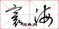 梁锦英寰海草书怎么写