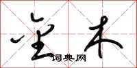梁锦英金木草书怎么写