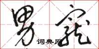 骆恒光男宠草书怎么写