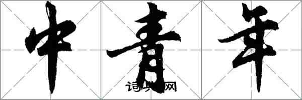 胡问遂中青年行书怎么写