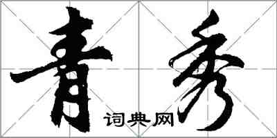 胡问遂青秀行书怎么写