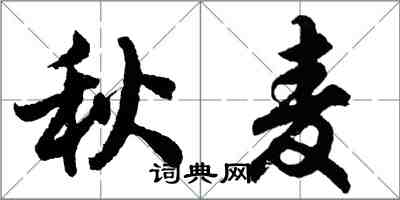 胡问遂秋麦行书怎么写
