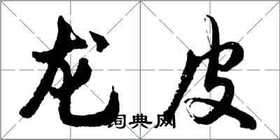 胡问遂龙皮行书怎么写
