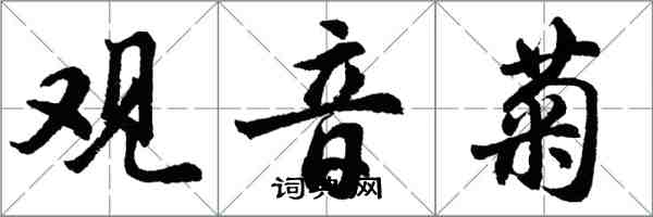 胡问遂观音菊行书怎么写