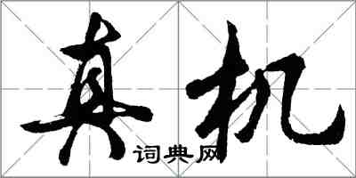 胡问遂真机行书怎么写