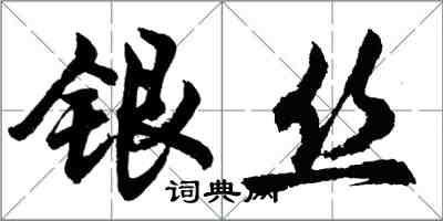 胡问遂银丝行书怎么写