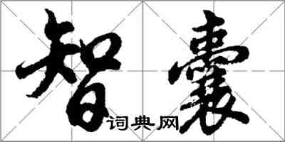 胡问遂智囊行书怎么写
