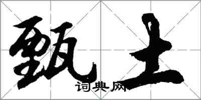 胡问遂甄土行书怎么写