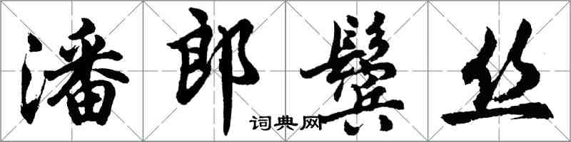 胡问遂潘郎鬓丝行书怎么写