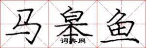 庞中华马皋鱼楷书怎么写