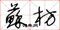 王冬龄苏枋草书怎么写