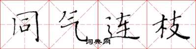 黄华生同气连枝楷书怎么写