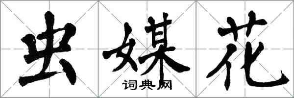 翁闿运虫媒花楷书怎么写