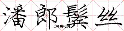 庞中华潘郎鬓丝楷书怎么写