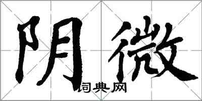 翁闿运阴微楷书怎么写
