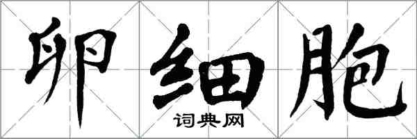 翁闿运卵细胞楷书怎么写