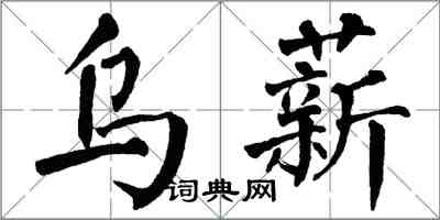 翁闿运乌薪楷书怎么写