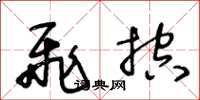 王冬龄飞控草书怎么写
